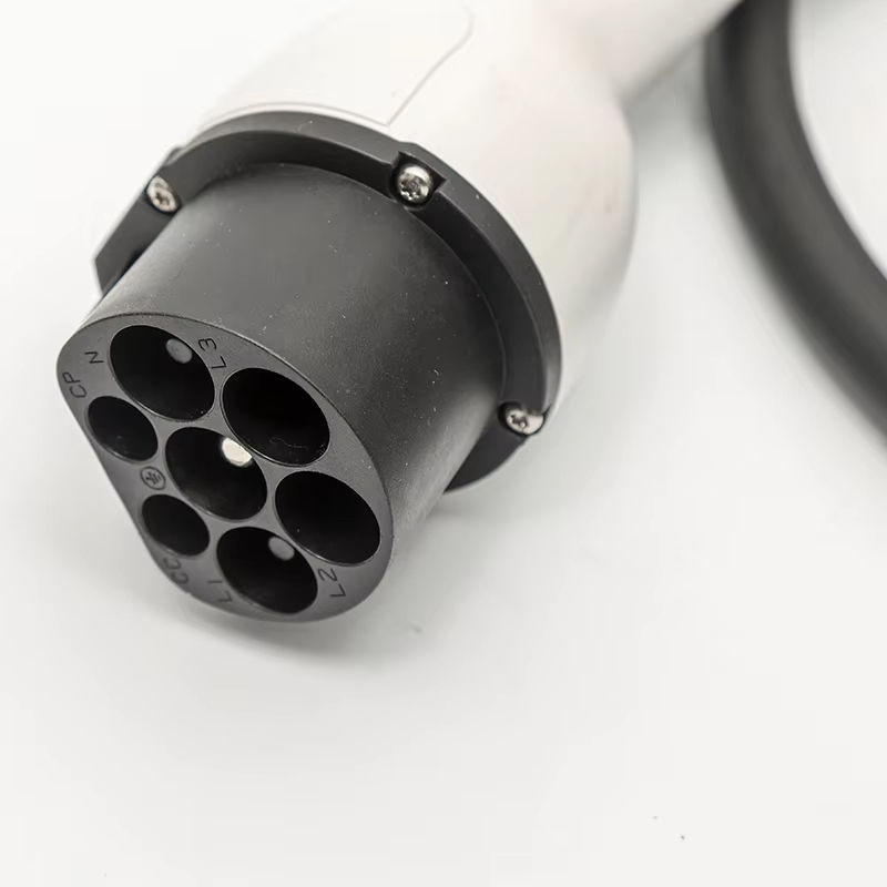 Caricatore per Auto Elettrica  - Fast Charging Cable recensione e prezzo